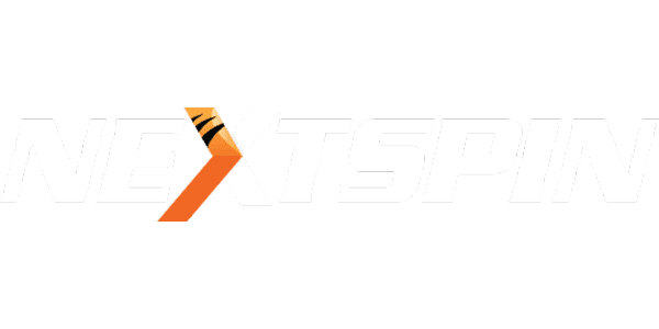 NS-COLOR গেমিং partner logo